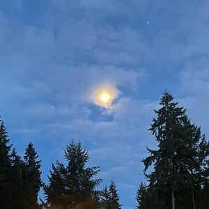 Meet your Posher, Trendy